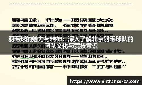 羽毛球的魅力与精神：深入了解北京羽毛球队的团队文化与竞技意识